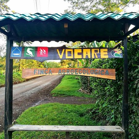 Vocare Finca Agroecologica Upala Exteriér fotografie