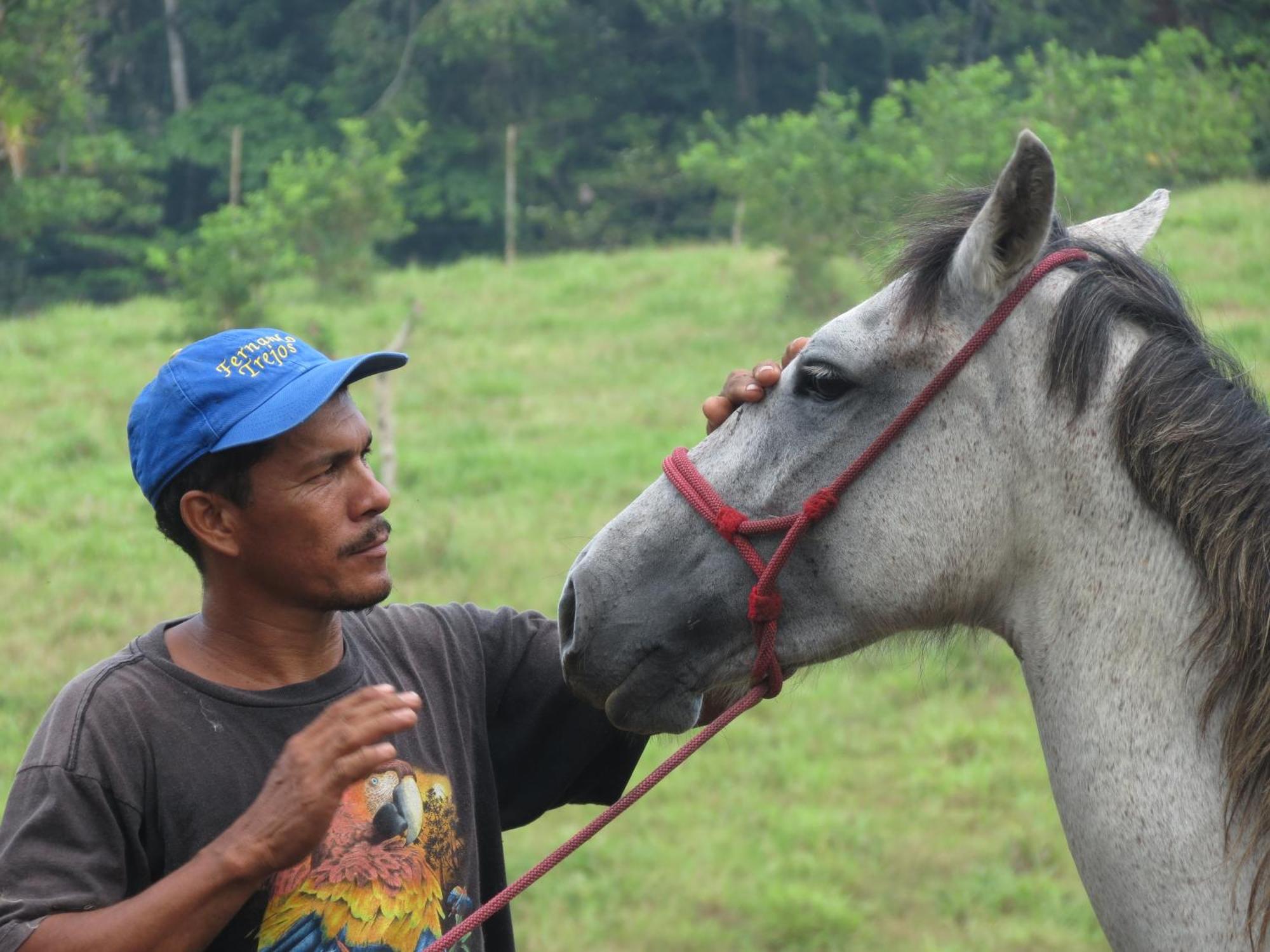 Vocare Finca Agroecologica Upala Exteriér fotografie