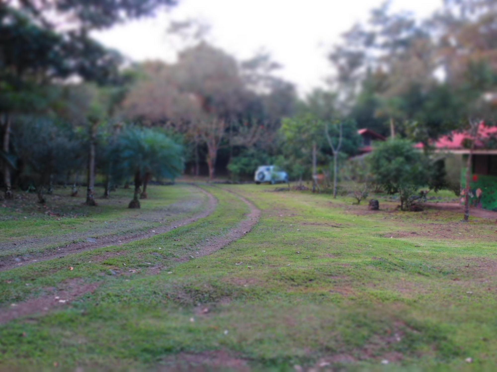 Vocare Finca Agroecologica Upala Exteriér fotografie